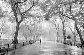 LLUEVE EN SILENCIO